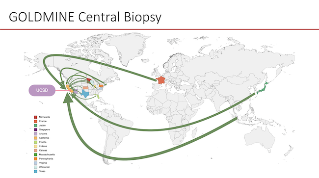 goldmine-central-pathology-map.png