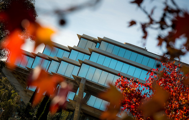 Geisel library framed by fall leaves