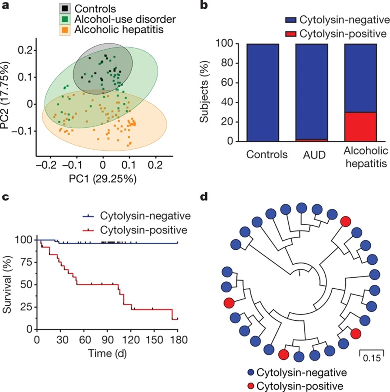 Figure 1 from Duan Y*, Llorente C*, Schnabl B, Nature, 2019. (*equal contribution)